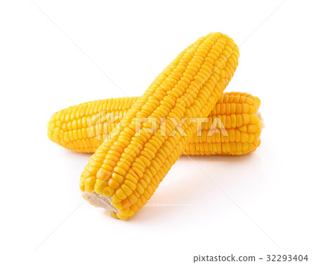 corn isolated on white background corn isolated on white background 32293404