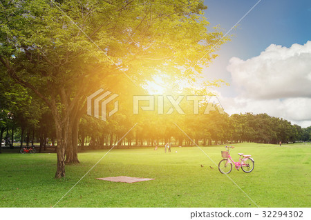 clean green park grass and tree 32294302