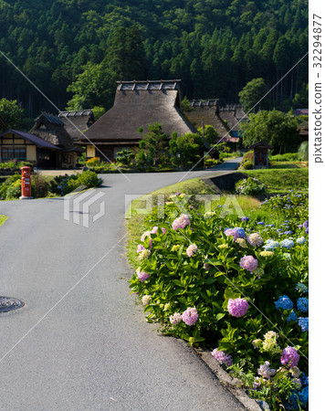 Hydrangea and the town's village 32294877