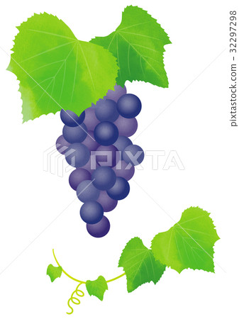 Grapes and rice _ d Grapes and rice _ d 32297298