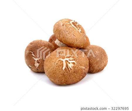 Shiitake mushroom on white background 32297695