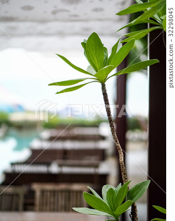 Coffee shop by the sea 32298045