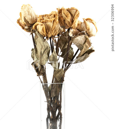 dried rose isolate dried rose isolate 32306994