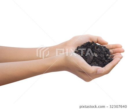 Hand holding a black soil 32307640
