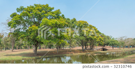 landscape gardener natural park environment landscape gardener natural park environment 32310746