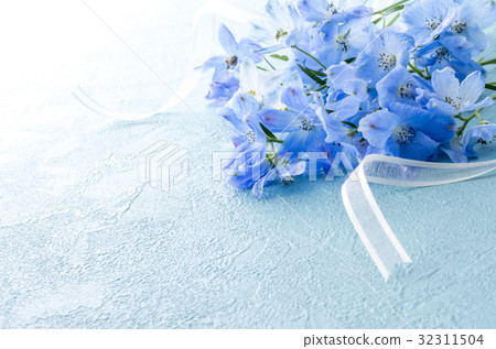 Delphinium 32311504