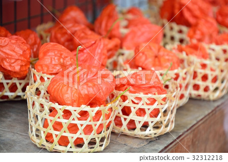 Asakusa Hozuki City 32312218