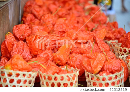 Asakusa Hozuki City 32312219