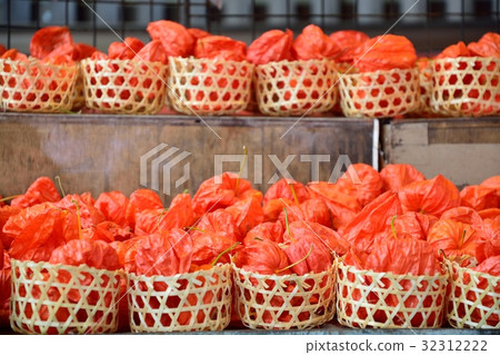 Asakusa Hozuki City Asakusa Hozuki City 32312222