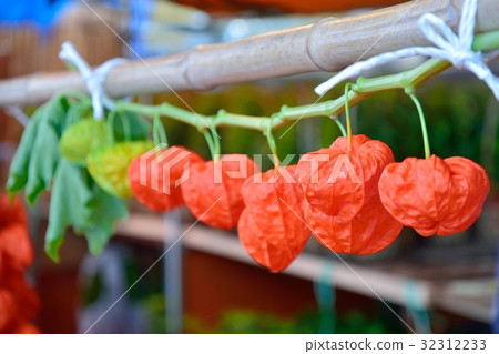 Asakusa Hozuki City Asakusa Hozuki City 32312233