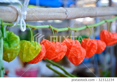 Asakusa Hozuki City 32312234
