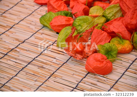 Asakusa Hozuki City 32312239