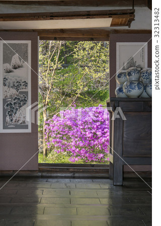 京畿道龍仁市龍仁民俗村杜鵑花 32313482