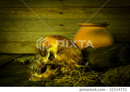 Human skull on old wood background, still life Human skull on old wood background, still life 32314731
