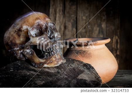 Human skull on old wood background, still life Human skull on old wood background, still life 32314733