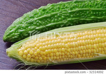 玉米和goya 32314892