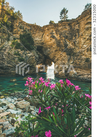 Blooming Rhododendron tree in picturesque sea bay 32315000