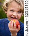 cute 5 year old child eating an apple 32315390