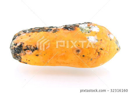 rotten papaya isolate on white background rotten papaya isolate on white background 32316160