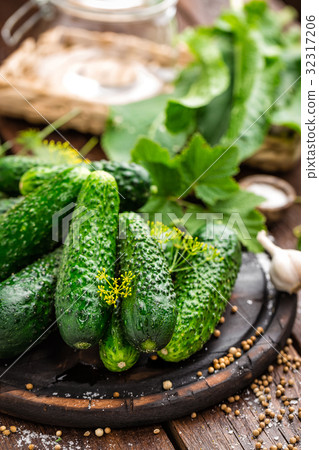 Canning cucumbers 32317206