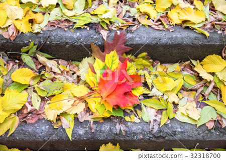Colorful leaves on the steps of staircase 32318700