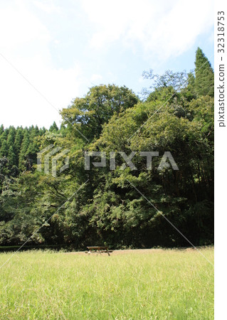 夏日的回憶 夏日的回憶 32318753