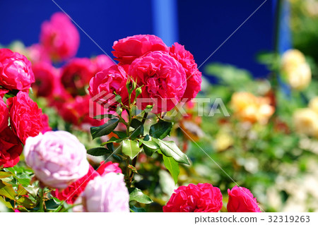 Lake Tazawako Roses Park Hotel Hotel Blooms in front of the hotel 32319263