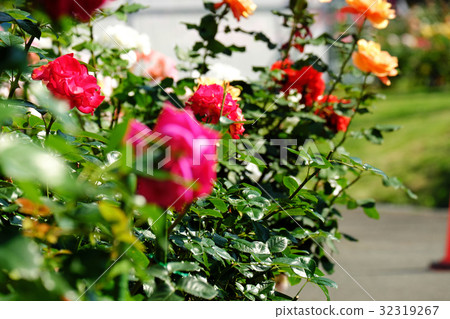 Lake Tazawako Roses Park Hotel Hotel Blooms in front of the hotel Lake Tazawako Roses Park Hotel Hotel Blooms in front of the hotel 32319267