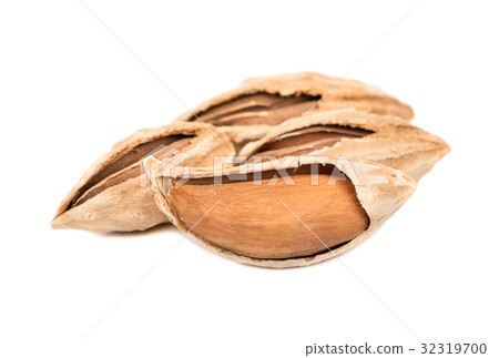 Uzbek almonds in shell Uzbek almonds in shell 32319700