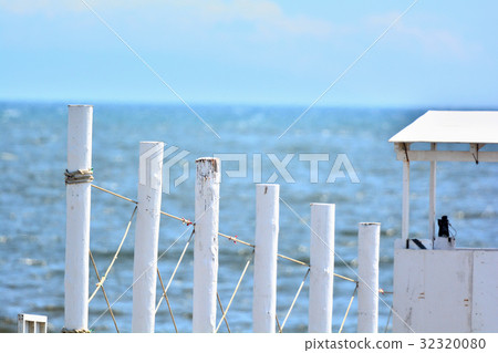 Swimming in the sea 32320080