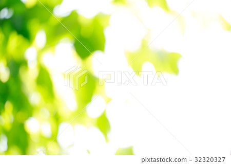 綠色模糊背景材料 綠色模糊背景材料 32320327
