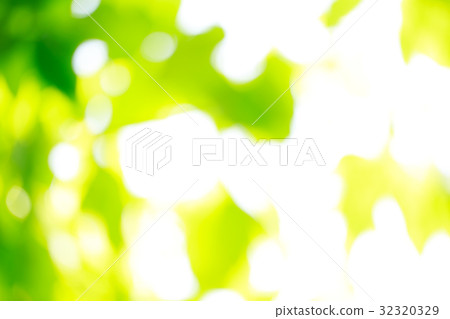 綠色模糊背景材料 綠色模糊背景材料 32320329