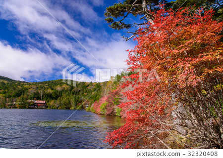 長野縣，秋葉的Shirahata池塘 32320408