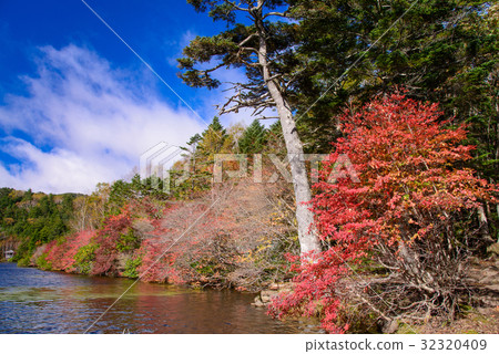 長野縣,秋葉的Shirahata池塘 長野縣,秋葉的Shirahata池塘 32320409