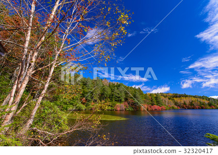 長野縣,秋葉的Shirahata池塘 長野縣,秋葉的Shirahata池塘 32320417