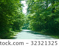 A walk in green 32321325