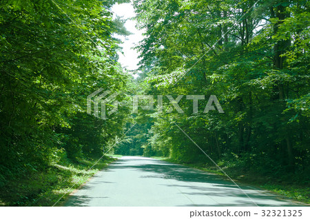A walk in green 32321325