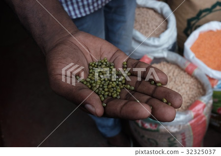 Mung beans in hand 32325037