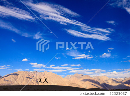Nubra Valley, Ladakh, India 32325087