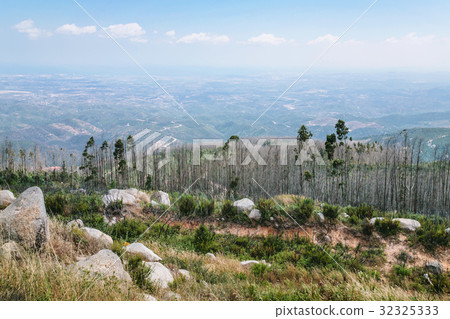 view of Serra de Monchique (Monchique Mountains) view of Serra de Monchique (Monchique Mountains) 32325333