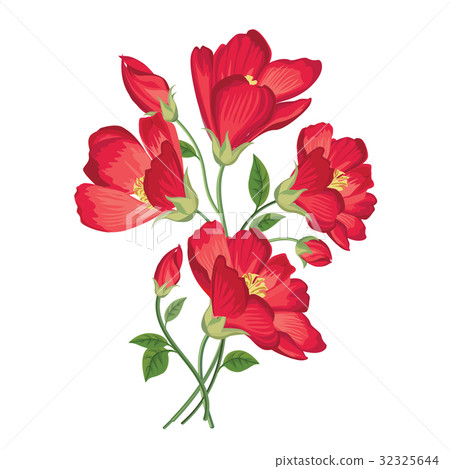 Flower bouquet. Floral summer frame. Greeting card 32325644