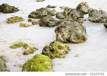 coquina rocks in sand on beach of Atlantic Ocean 32325791
