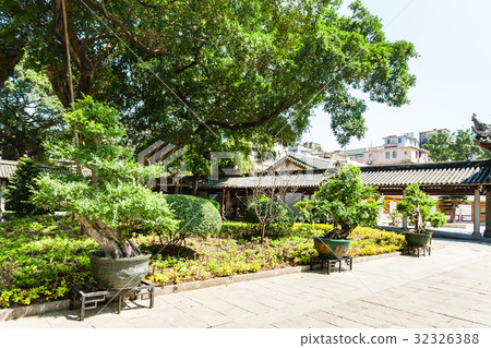 bonsai in court of Guangxiao Temple in Guangzhou 32326388