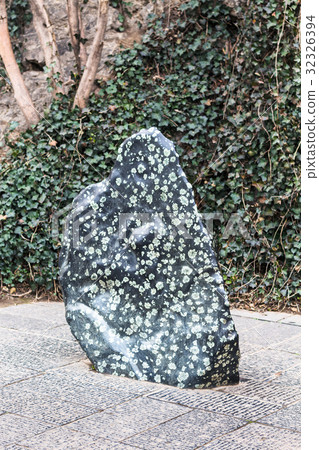 natural Luoyang Peony Stone 32326394