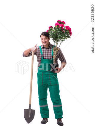 Young man gardener isolated on white 32326620