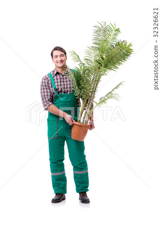 Young man gardener isolated on white Young man gardener isolated on white 32326621
