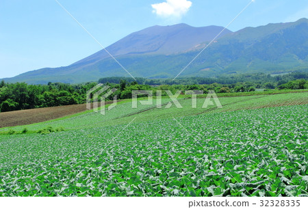 美麗的高原第2部分 32328335