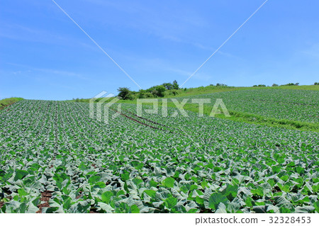 美麗的高原第13部分 32328453