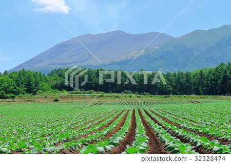 美麗的高原第18部分 32328474