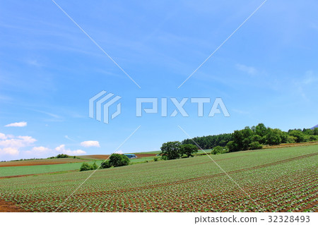 Beautiful Plateau Part 21 32328493